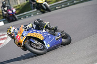 brands-hatch-photographs;brands-no-limits-trackday;cadwell-trackday-photographs;enduro-digital-images;event-digital-images;eventdigitalimages;no-limits-trackdays;peter-wileman-photography;racing-digital-images;trackday-digital-images;trackday-photos